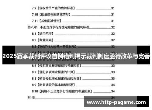 2025赛季裁判评议首例错判揭示裁判制度亟待改革与完善