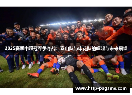2025赛季中超冠军争夺战：泰山队与申花队的崛起与未来展望