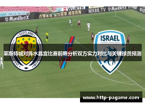 莱斯特城对阵水晶宫比赛前瞻分析双方实力对比与关键球员预测 莱斯特城对阵水晶宫比赛前瞻分析双方实力对比与关键球员预测
