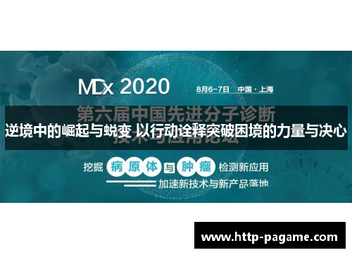 逆境中的崛起与蜕变 以行动诠释突破困境的力量与决心